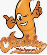 Mealworms-online Voucher Codes & Deals